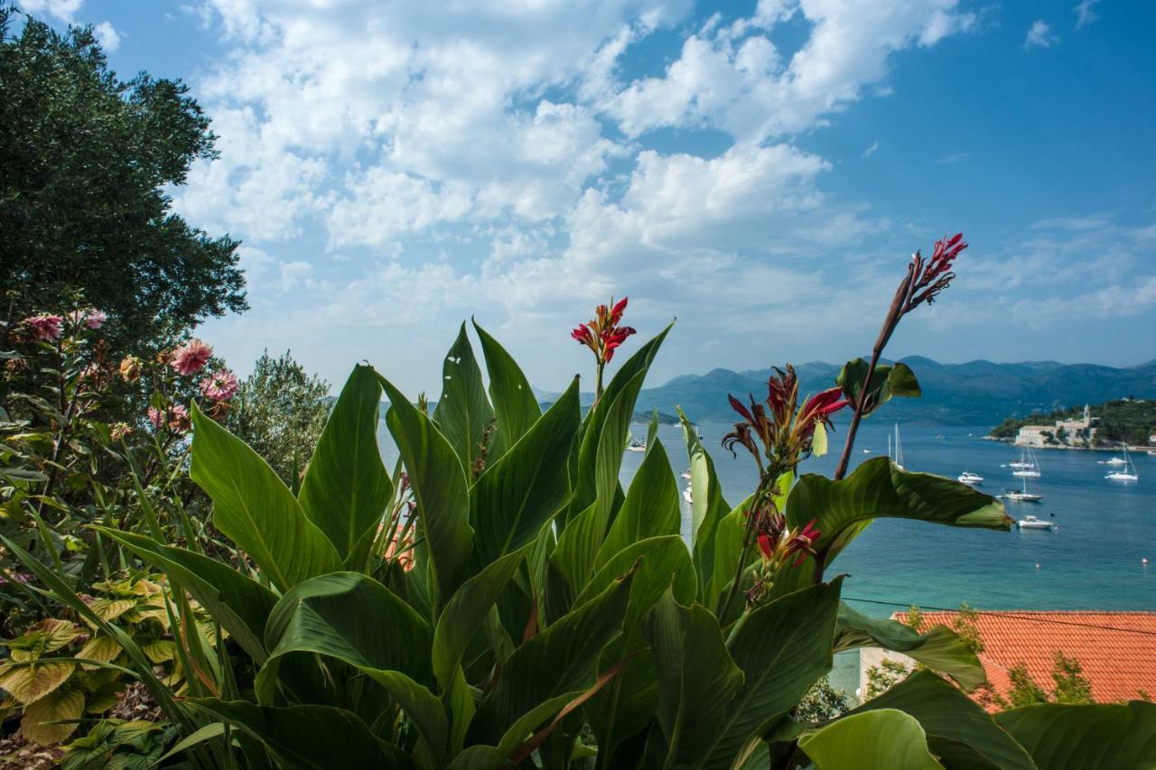 Boutique Hotel Tomic 로푸드 외부 사진